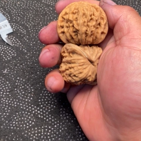 文玩核桃把件西楼20