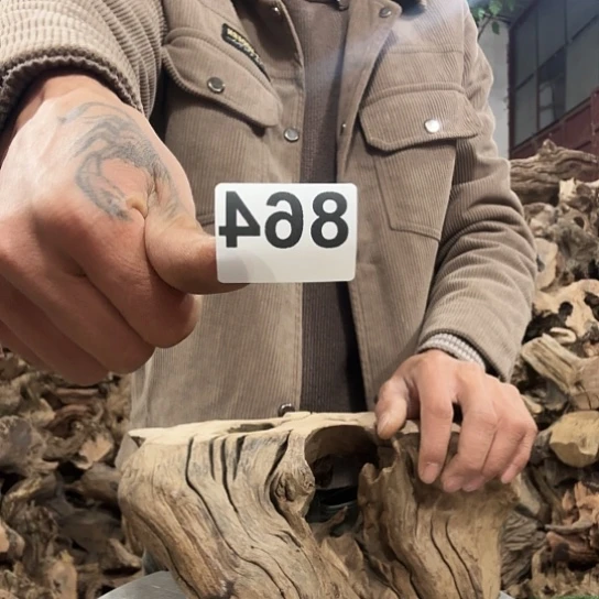 漠**篱紫砂噜啦啦啦啦啦啦