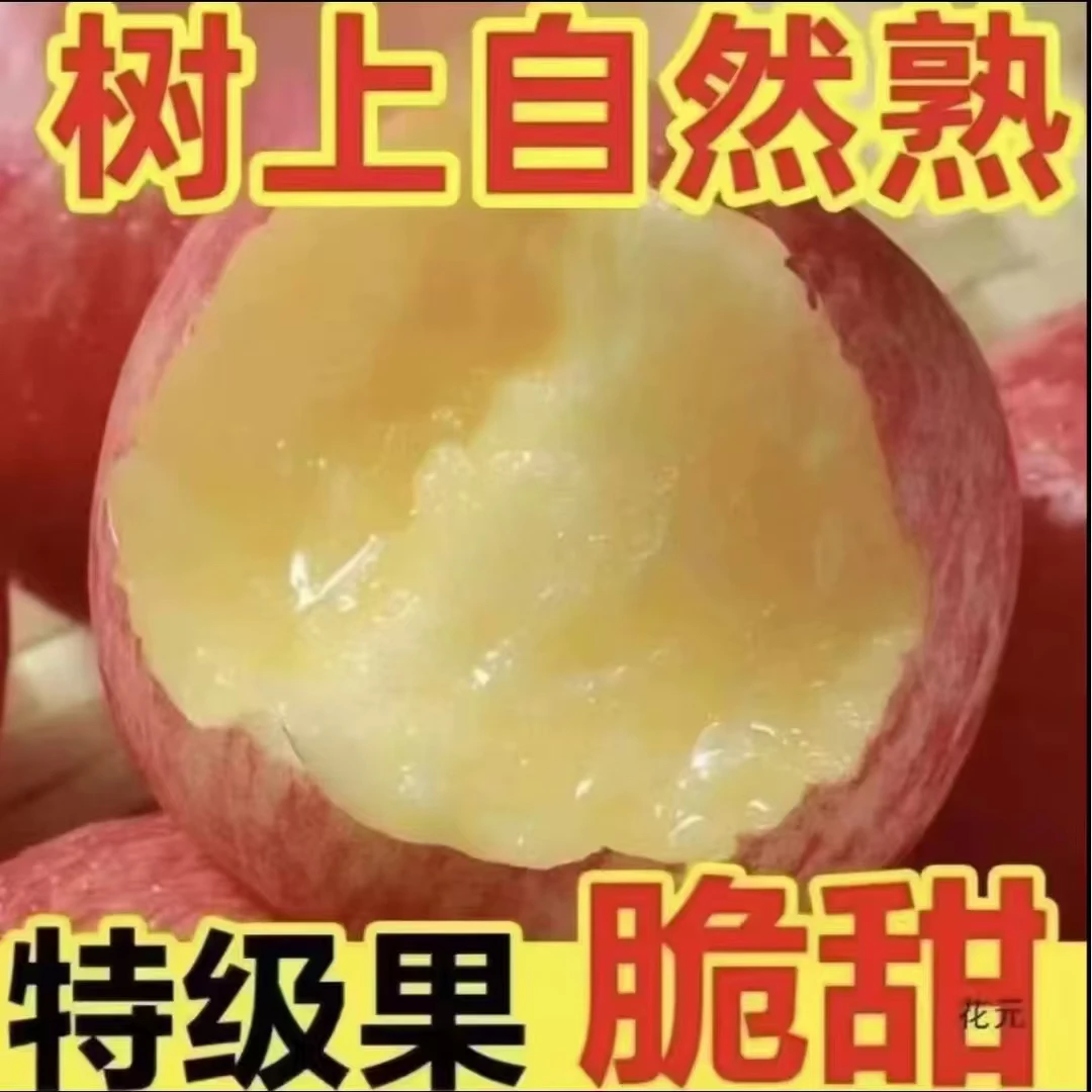 xh1【高原红富士】正宗红富士新品种部分带溏心