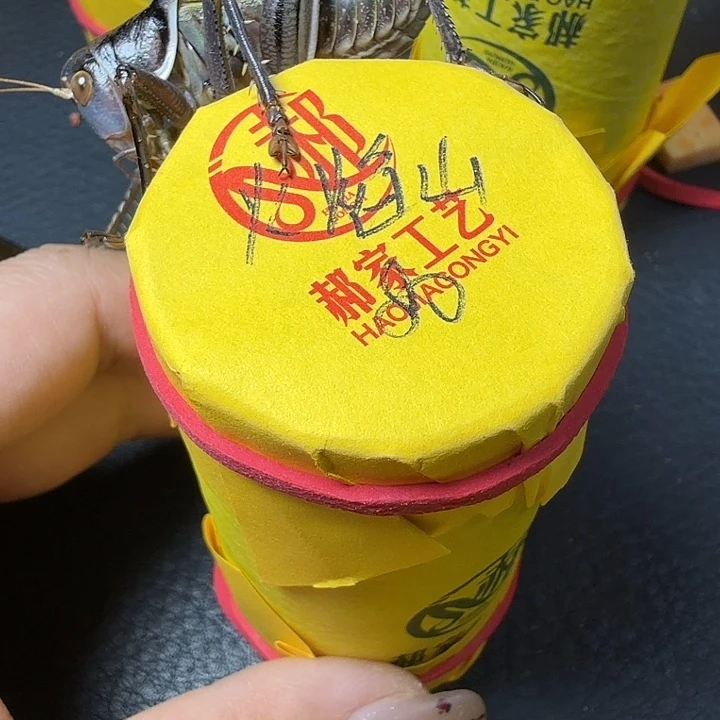 火***山蟋蟀就哈哈哈哈哈哈哈哈哈