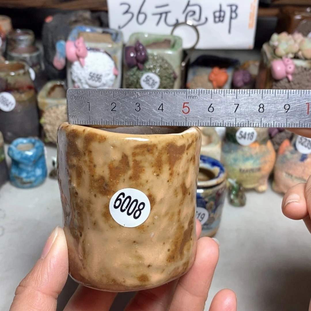 拍3送一个小礼物