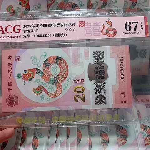 塑料008812206。。。。。。。。
