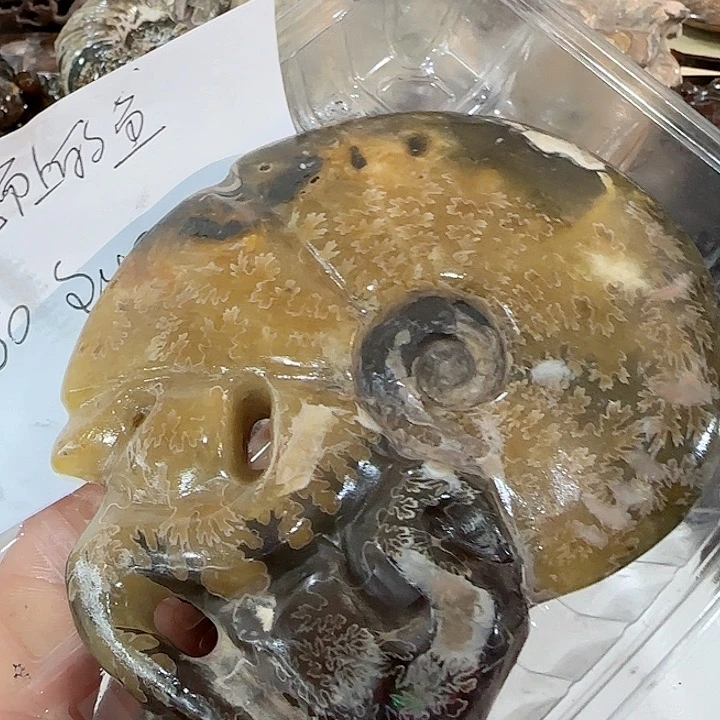 逆***鱼有机玻璃家居装饰摆件
