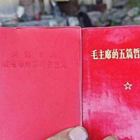 紫***姬羊羔毛书111111111111111111111