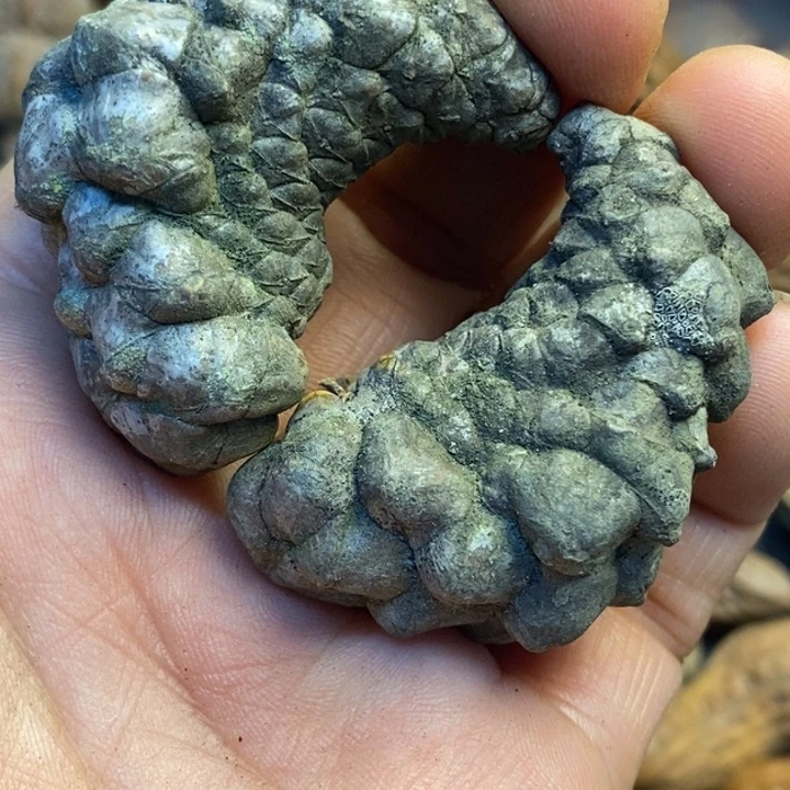 桃核吊坠娜姐真的18