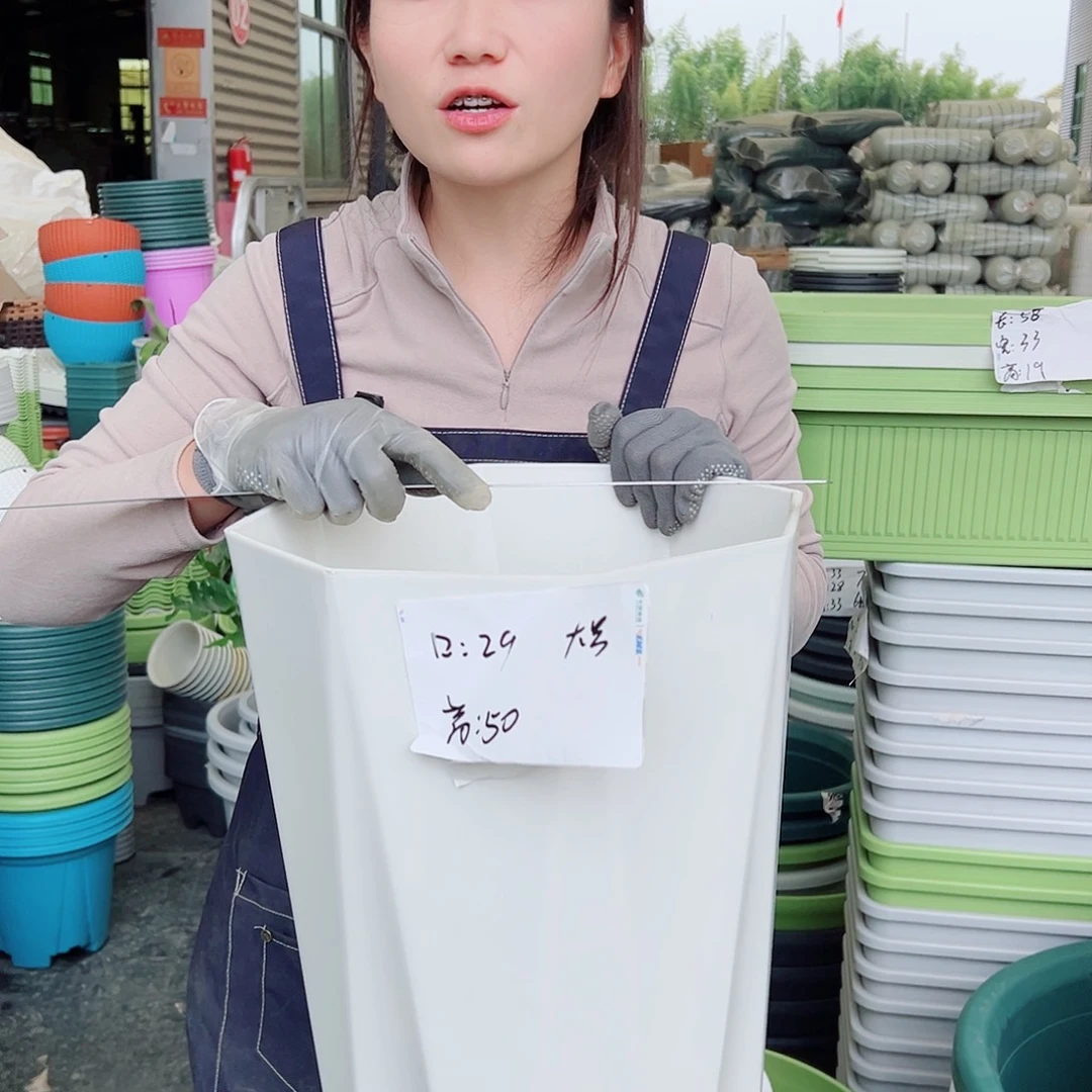 瑕疵八角大号白色2个无托
