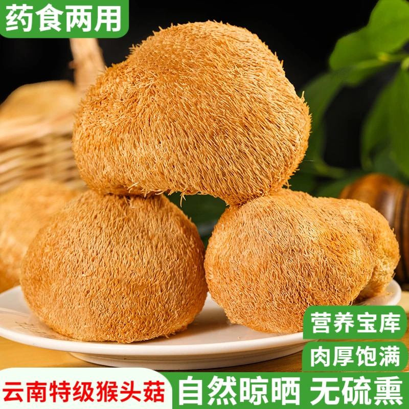 云南猴头菇干货可做猴头菇养胃粉儿童老人搭食材