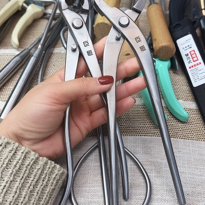 巨恒不锈钢中号球➕破干中号一把包邮