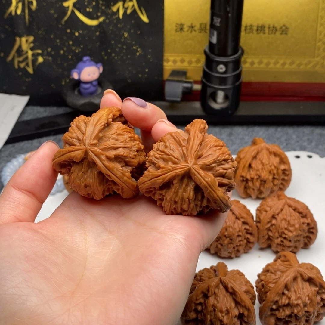 咯*白狮子11111111