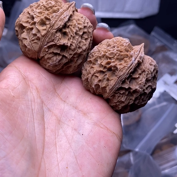 核桃云南野生铁核桃87号43mm
