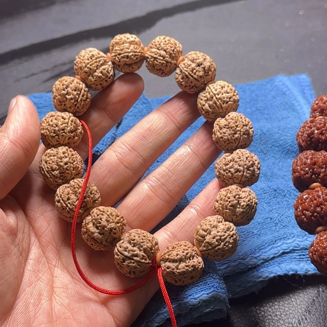 金刚菩提手串19尺寸霸王龙