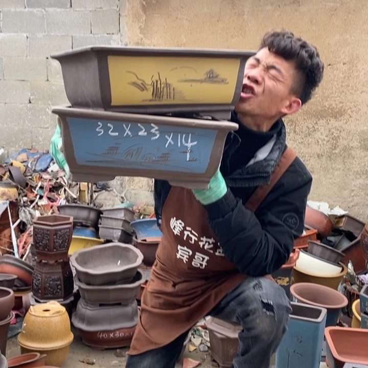 红陶这样我也可以去看电影