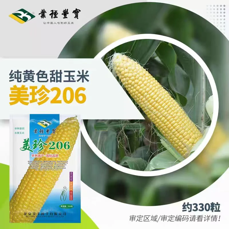 超甜水果玉米种子种籽孑鲜食生吃脆甜高产抗病春季秋季播耐热甜糯