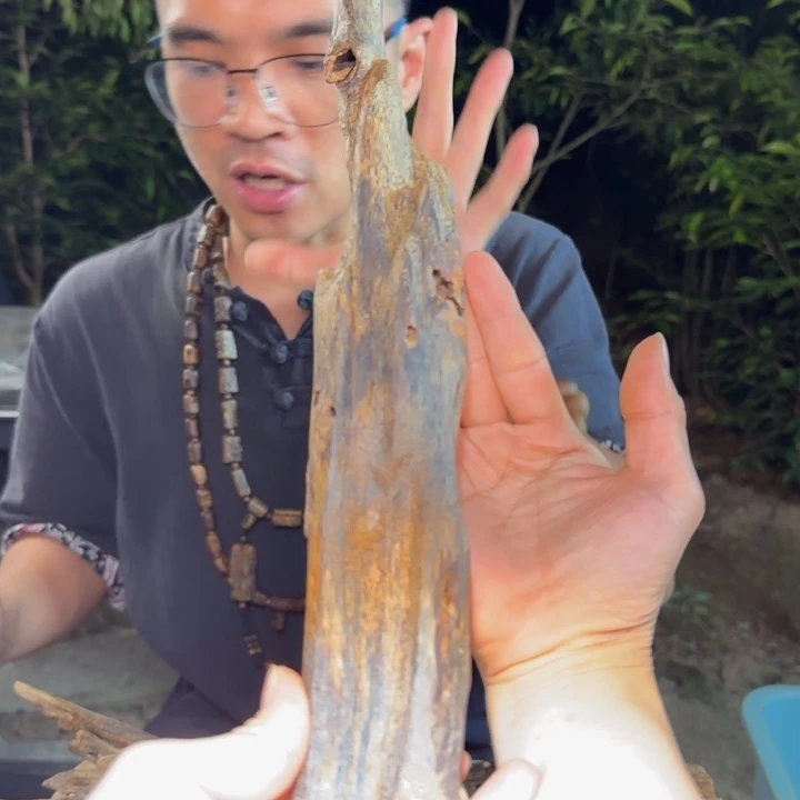 沉香手把件千里香虫漏块料146克