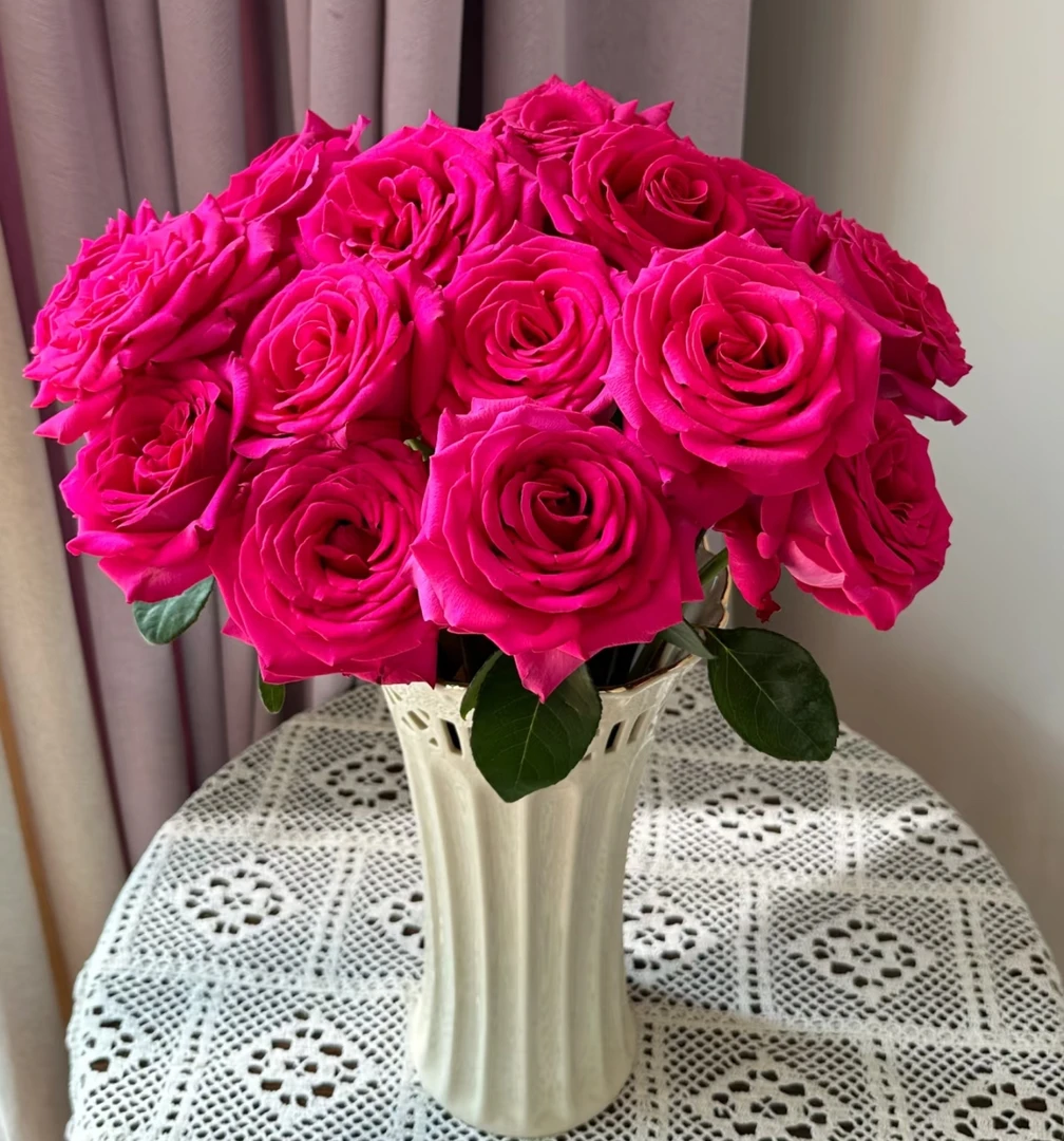 【弗洛伊德 玫瑰】云南基地直发-两单升级顺丰