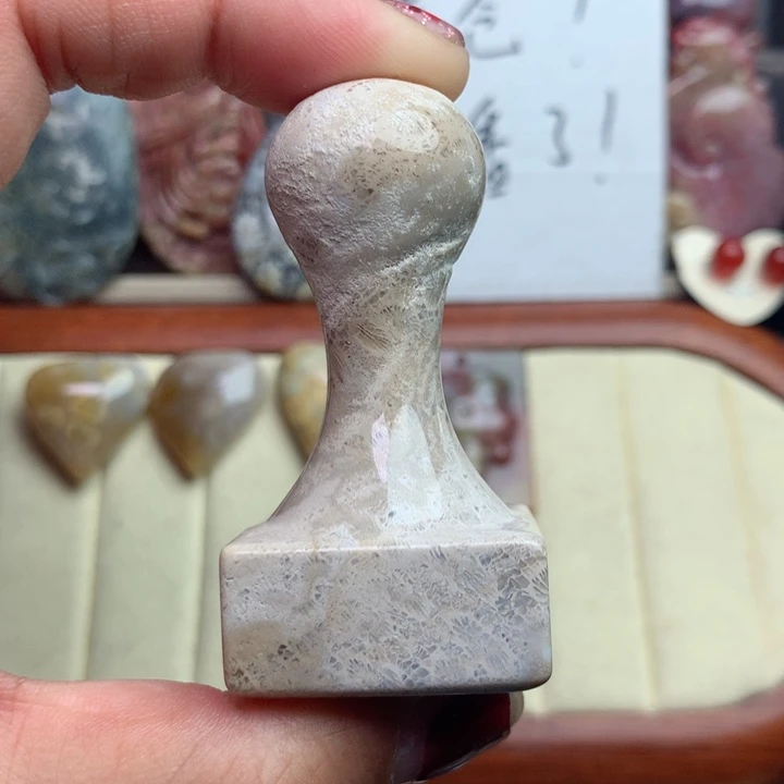 硅化珊瑚（珊瑚玉）颈饰未镶嵌