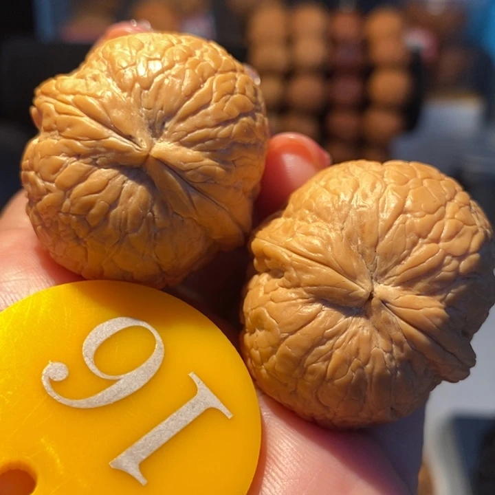 21号链接粗筋西瓜35尺寸