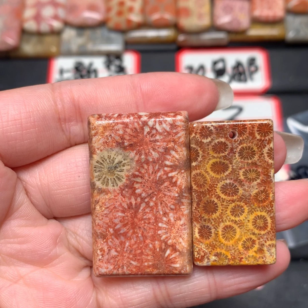 【闪购商品】未镶嵌颈饰硅化玉兰**静