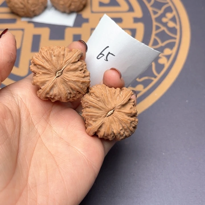 文玩核桃把件36白狮子 65号