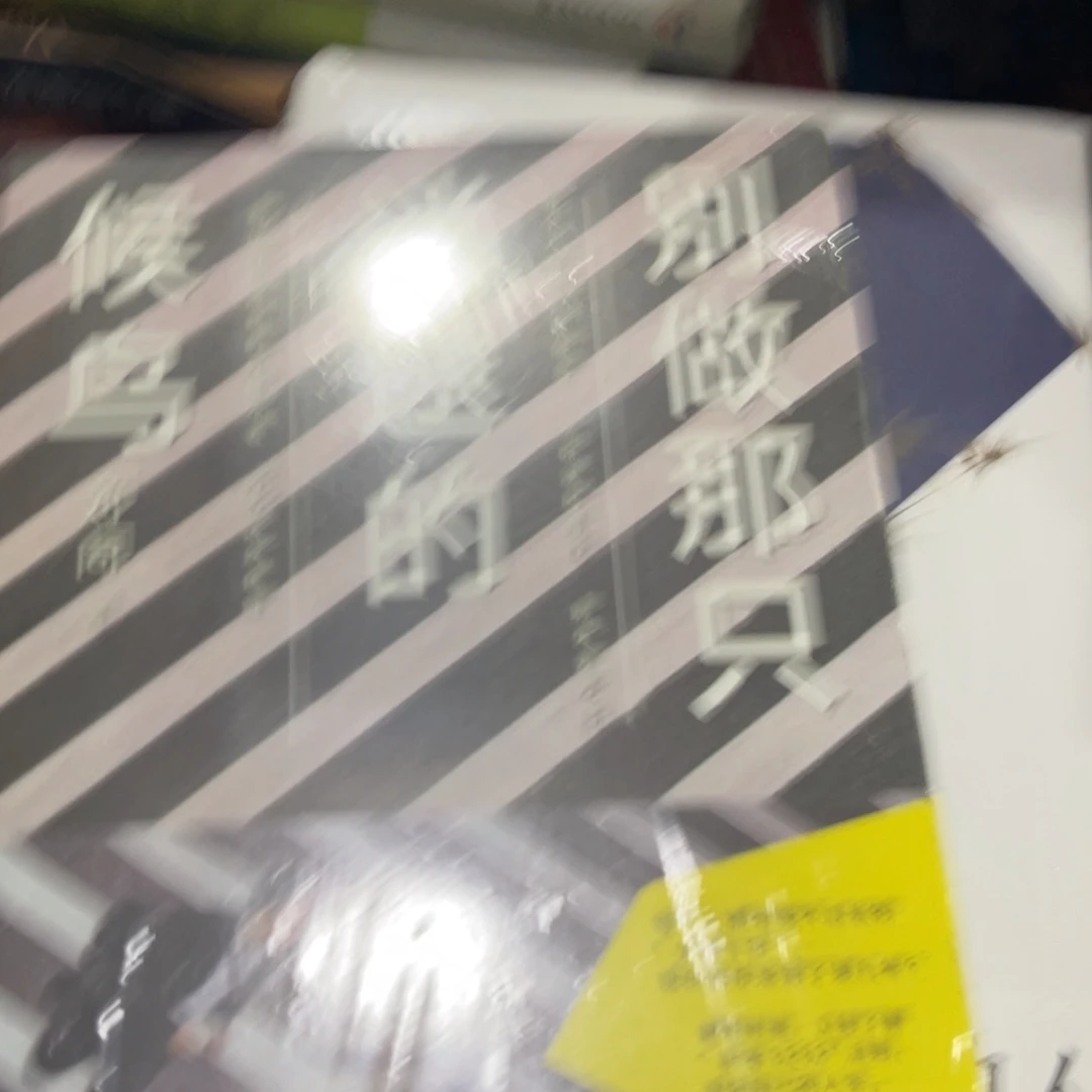 别做迷途知返的候鸟