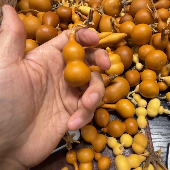 L****elv lv的一把天津嘴巴宝葫芦