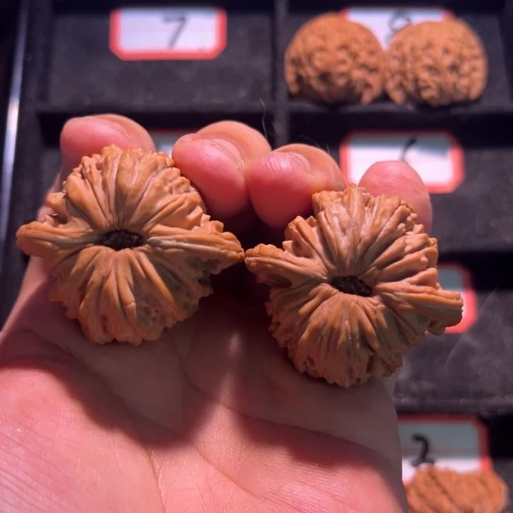 可***求桃核吊坠26秦皇岛山地果全品