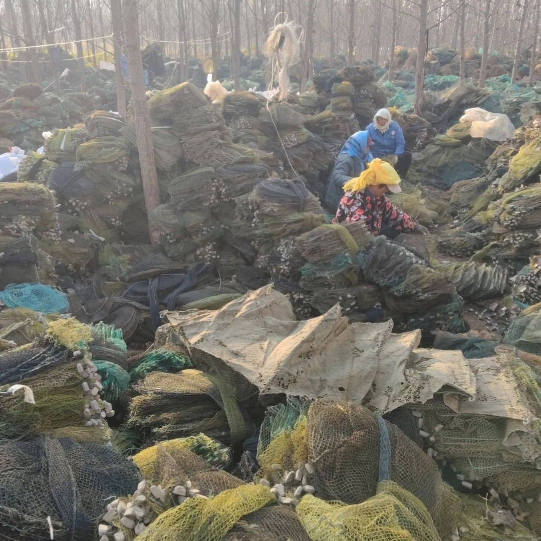 旧地笼 30*40框架 两头到 15到18米左右 偶尔有漏洞不换不退