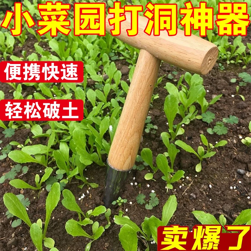 不锈钢木柄打洞器播种移苗追肥神器花园多肉种苗打孔器