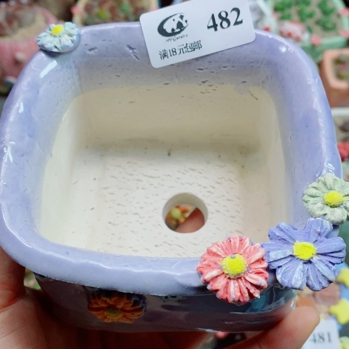 兰****生石花花花花花花花482