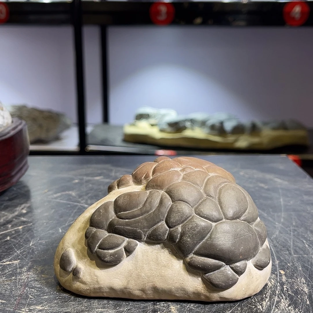 紫砂偏远地区不包邮厦****馆