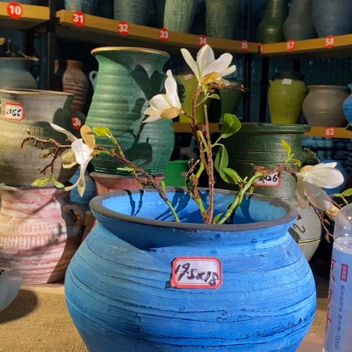 【闪购商品】正品现货