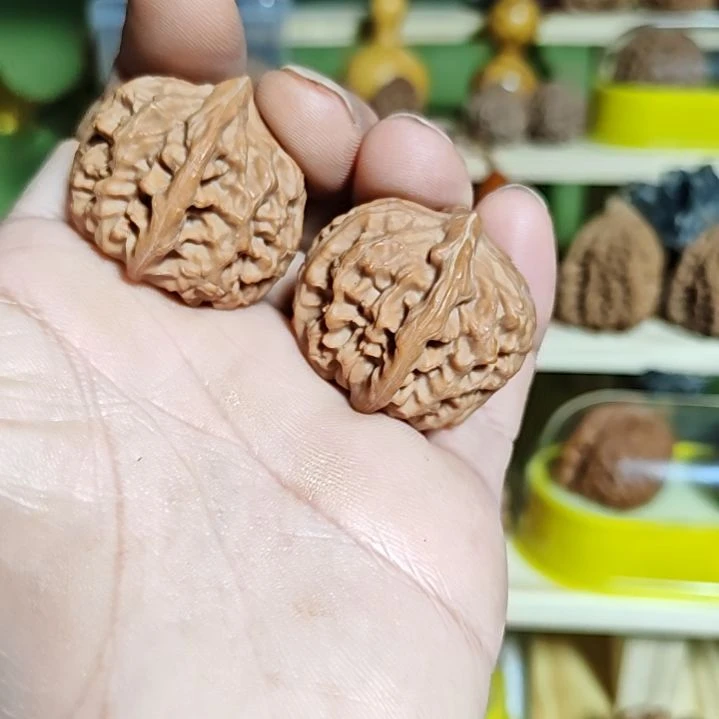 小尺寸33尺,小众金麒麟