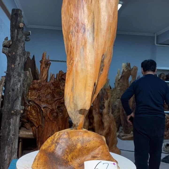 孔*师我们都是你的粉丝67