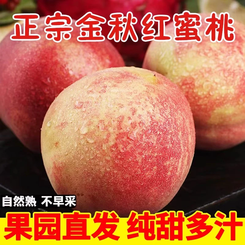 蒙阴金秋水蜜桃脆甜桃子精品现摘现发包邮山东省桃子山东省