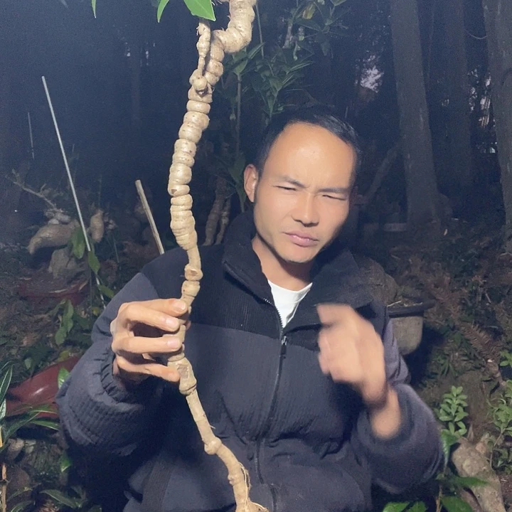 无花朵我也想要这样一