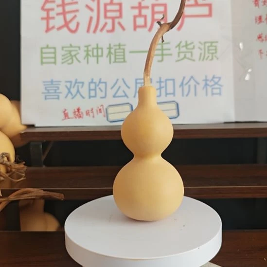 葫芦干货一把如图2