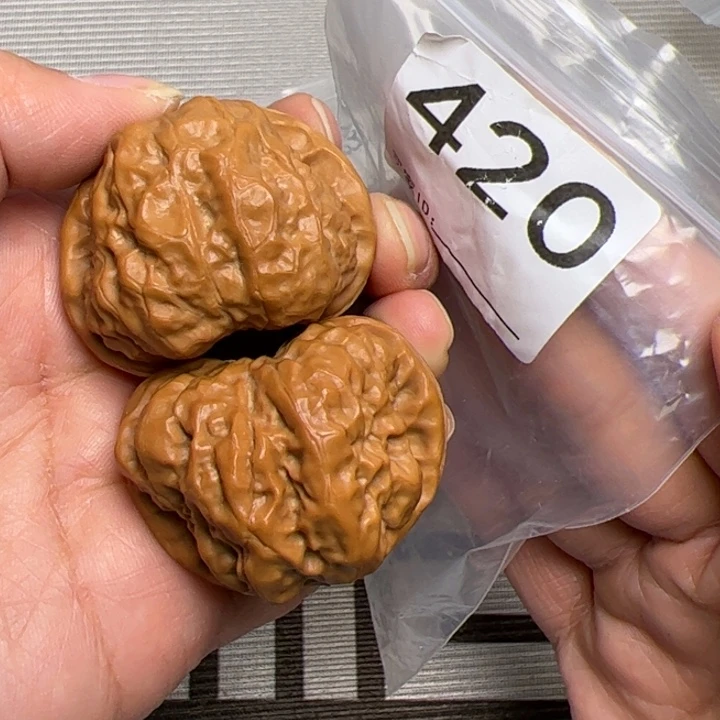 核桃43边43肚三角肌肉蛙饼420