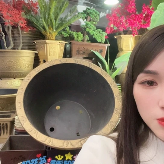 复合农***哥盆景8999655588