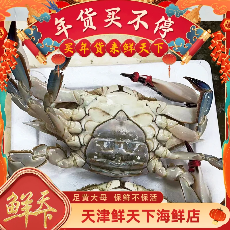 【保鲜不保活】足黄母蟹一斤3-4只左右 单只3-5两 掉爪