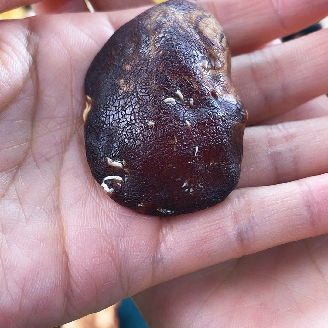 琥珀颈饰未镶嵌蜜蜡吊坠