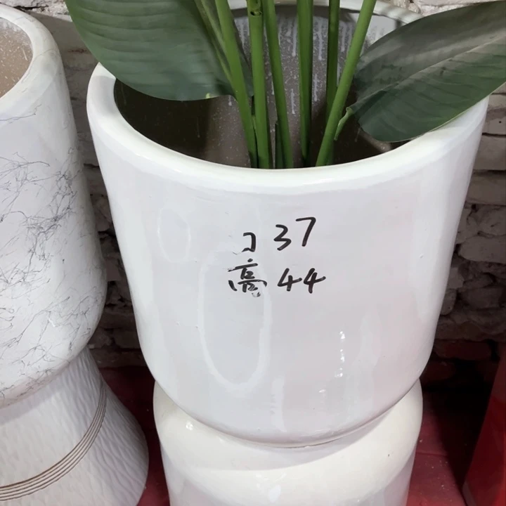 口径37高度44纯白色瑕疵捡漏