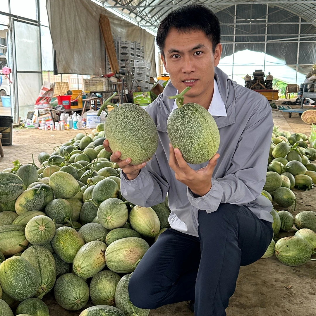 香泉农家特产哈密瓜