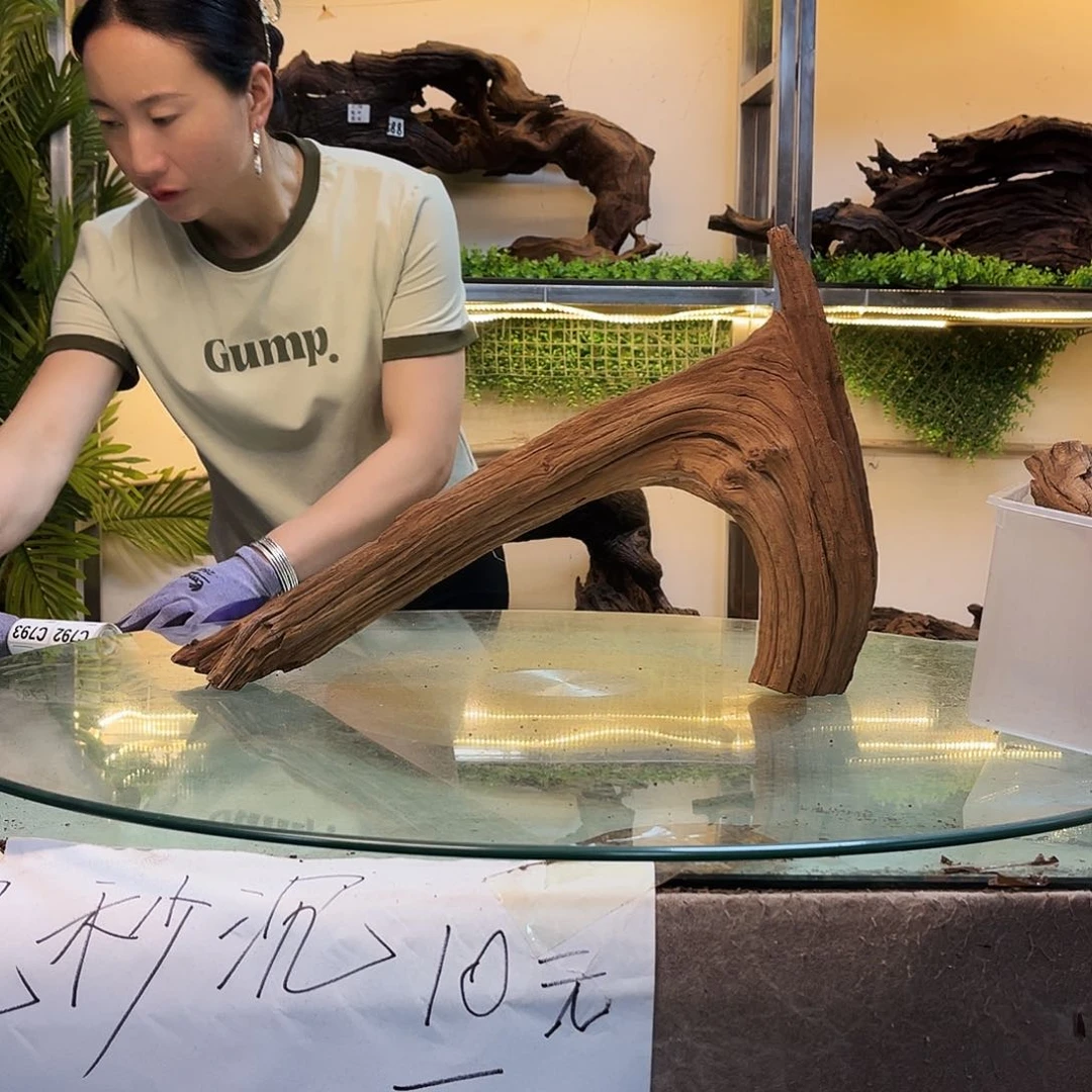 静***族柚木沉木鱼缸造景