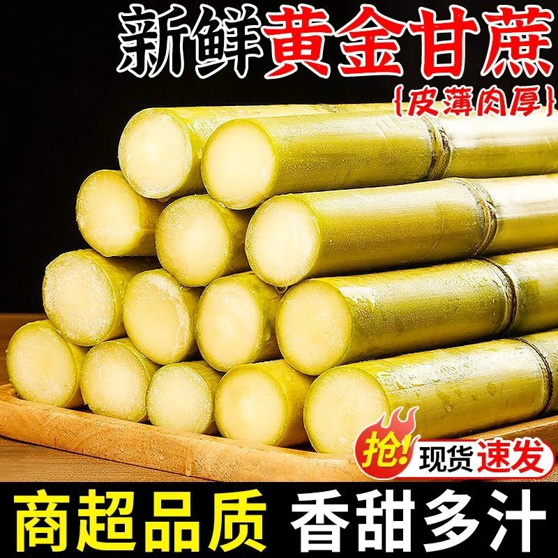 A【云南黄金甘蔗】10斤青皮绿皮黄皮甘蔗中段应季水果多汁清甜爽口