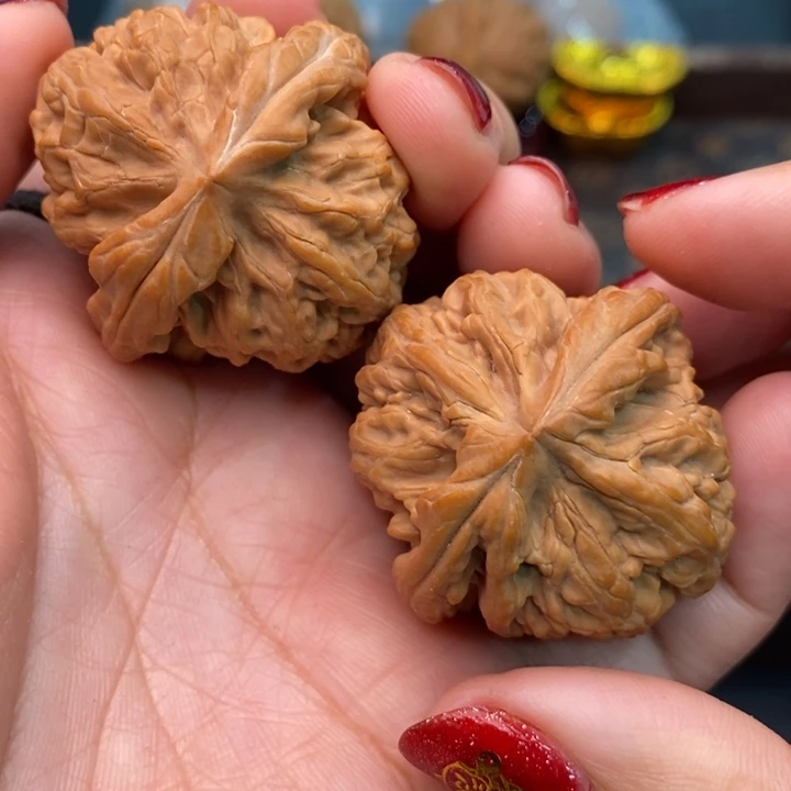 核桃红锦鲤40尺核桃