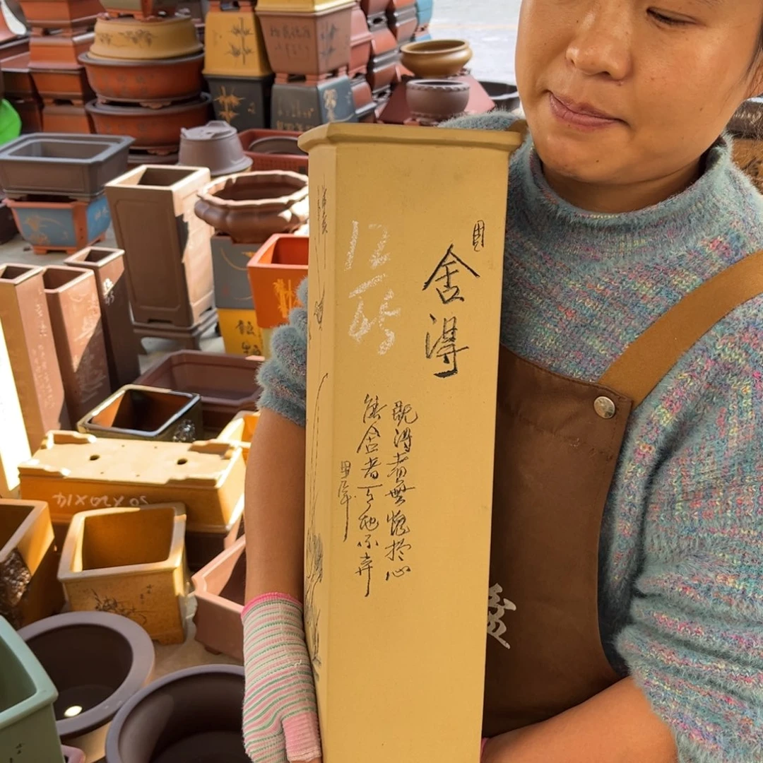 花盆紫砂盆景艺术