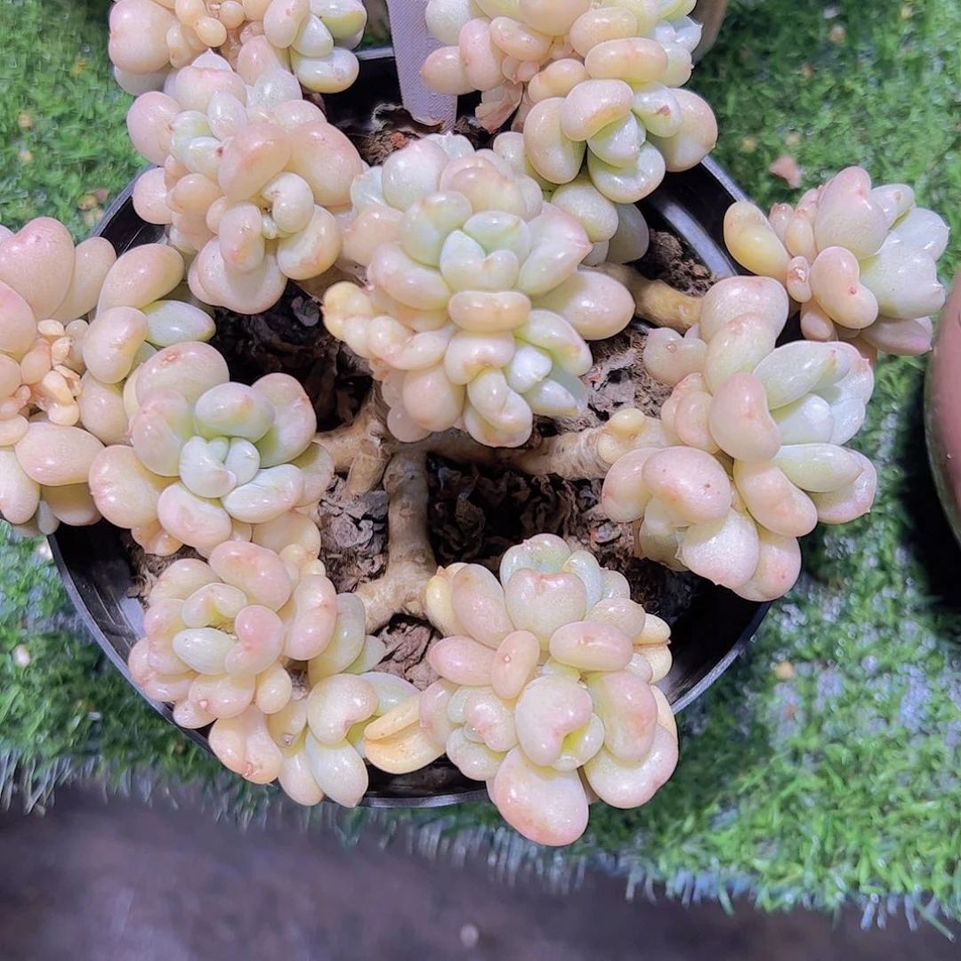 秋***?18比尔盖次。。。。。。