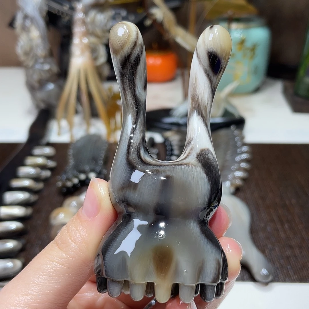 黑金刚兔子莲蓬美鼻