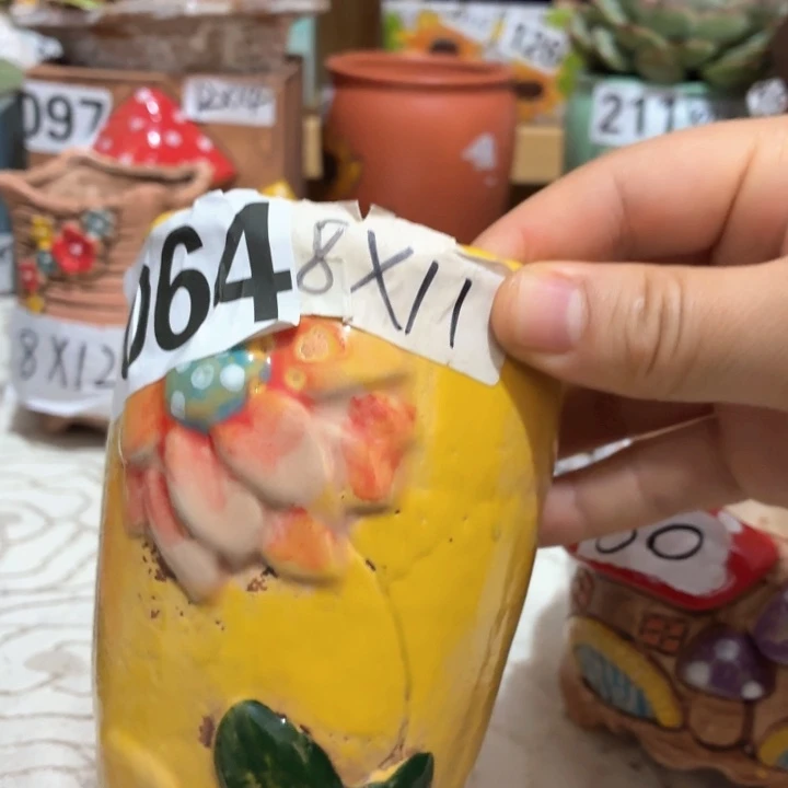 多肉花盆满15包邮