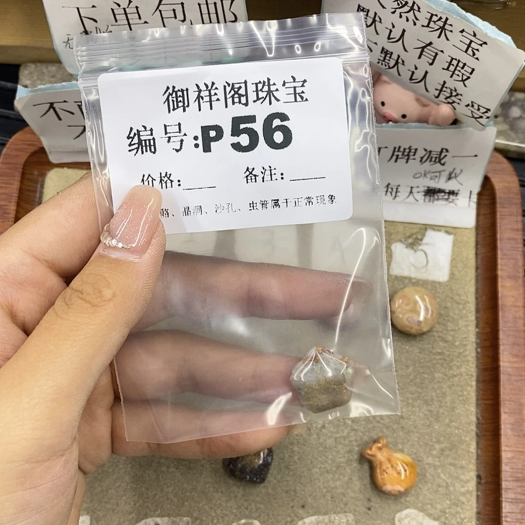 硅化珊瑚（珊瑚玉）未镶嵌颈饰康